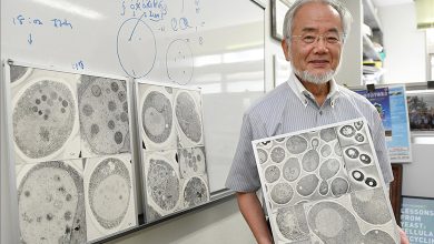 cientista japonês